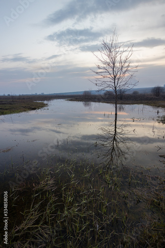 evening silence