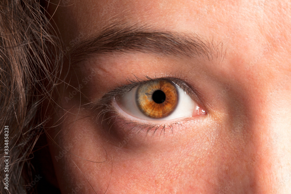 Obraz premium eye macro