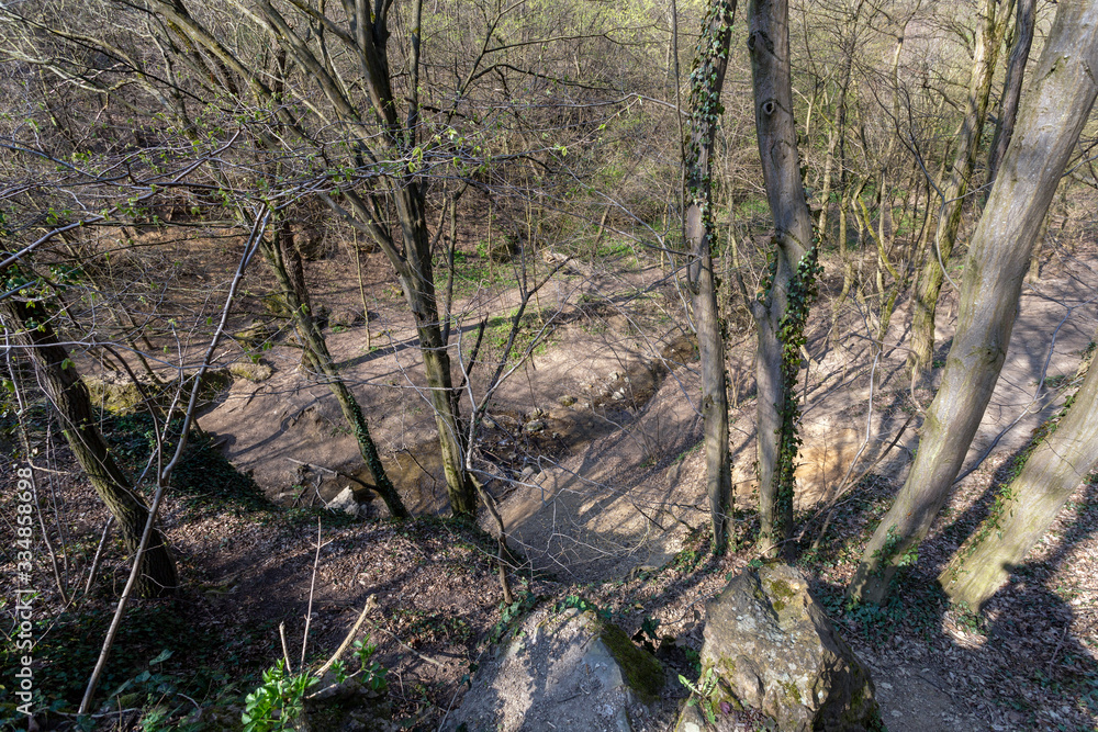 Small creek in the Buda mountains near the village Solymar, Hungary. Small creek in the Buda mountains near the village Solymar, Hungary.