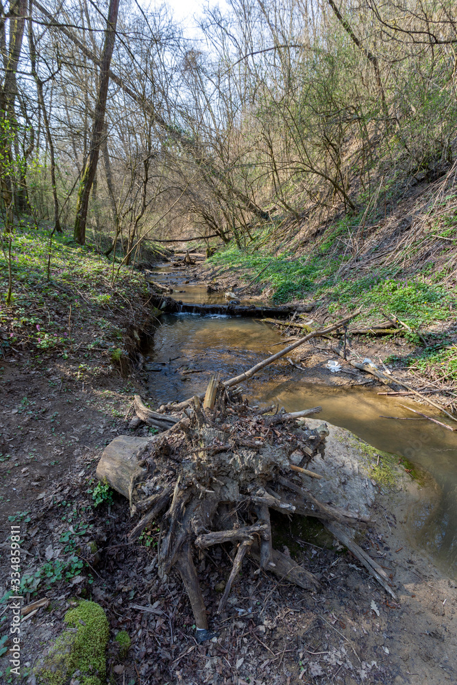 Small creek in the Buda mountains near the village Solymar, Hungary. Small creek in the Buda mountains near the village Solymar, Hungary.