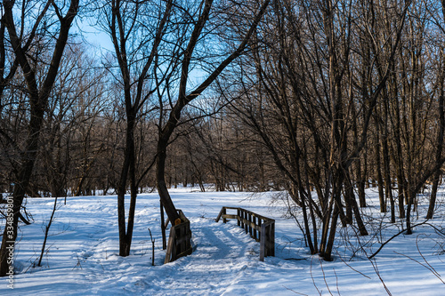 Fototapeta Naklejka Na Ścianę i Meble -  St-Charles River in winter day - Quebec
