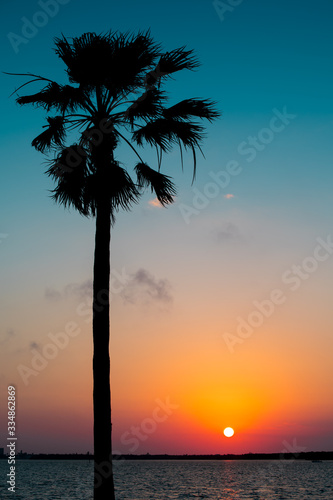 Silhouette palm tree. Bright ocean sunset. Beautiful Florida nature. Spring or Summer vacations. Colorful sky.