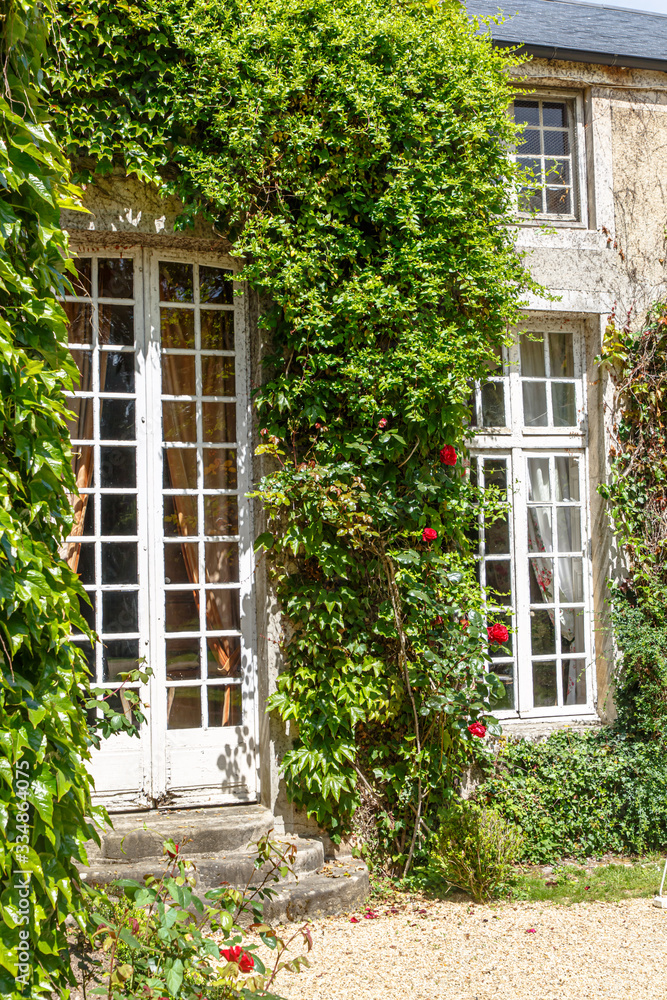 Bushes with red roses against a stone wall and an old window with white bindings.