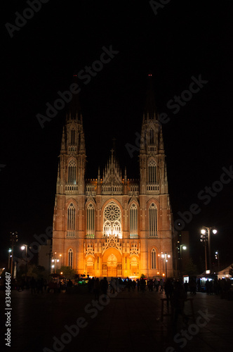 The Cathedral of Immaculate Conception (Inmaculada Concepción) lit up at summer night. This neogothic cathedral is located in La Plata, Buenos Aires province, Argentina