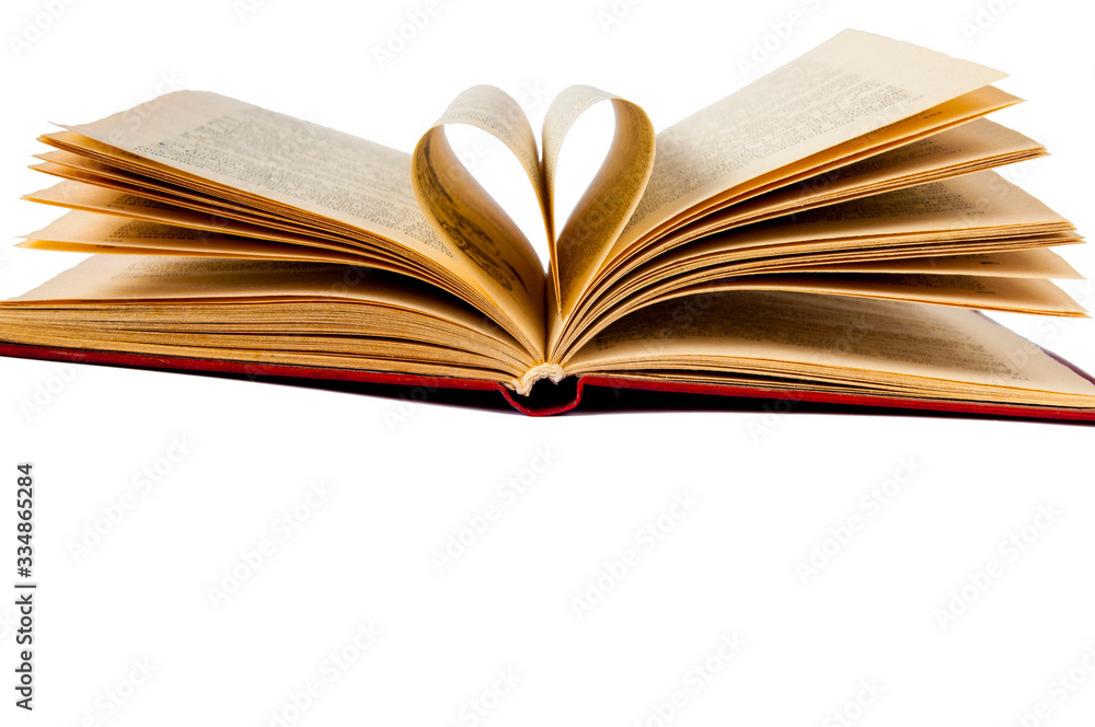 Fototapeta premium open book