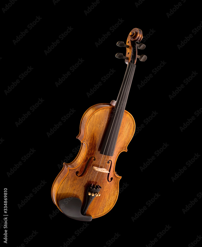Fototapeta premium violino