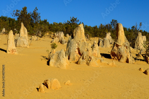 Pinnacles desert