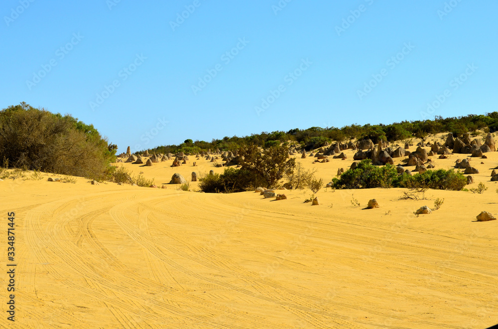Fototapeta premium Pinnacles desert