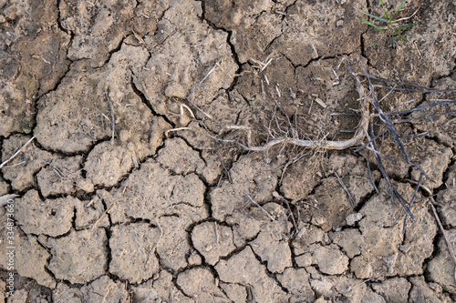 Cracked earth, cracked soil. Texture of grungy dry cracking parched earth. Global warming effect.