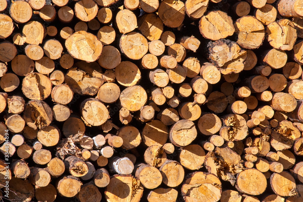Logs round logs piled on top of each other Logs round logs piled on top of each other