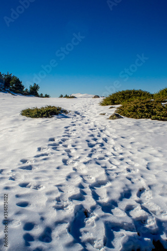 Fototapeta Naklejka Na Ścianę i Meble -  road to the top of the mountain on the frozen snow