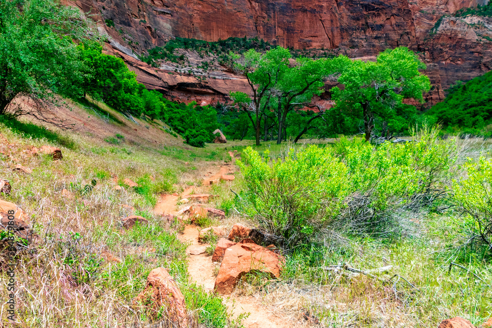 Trail in Virgin River Basin near Big Bend area in Zion National Park Trail in Virgin River Basin near Big Bend area in Zion National Park