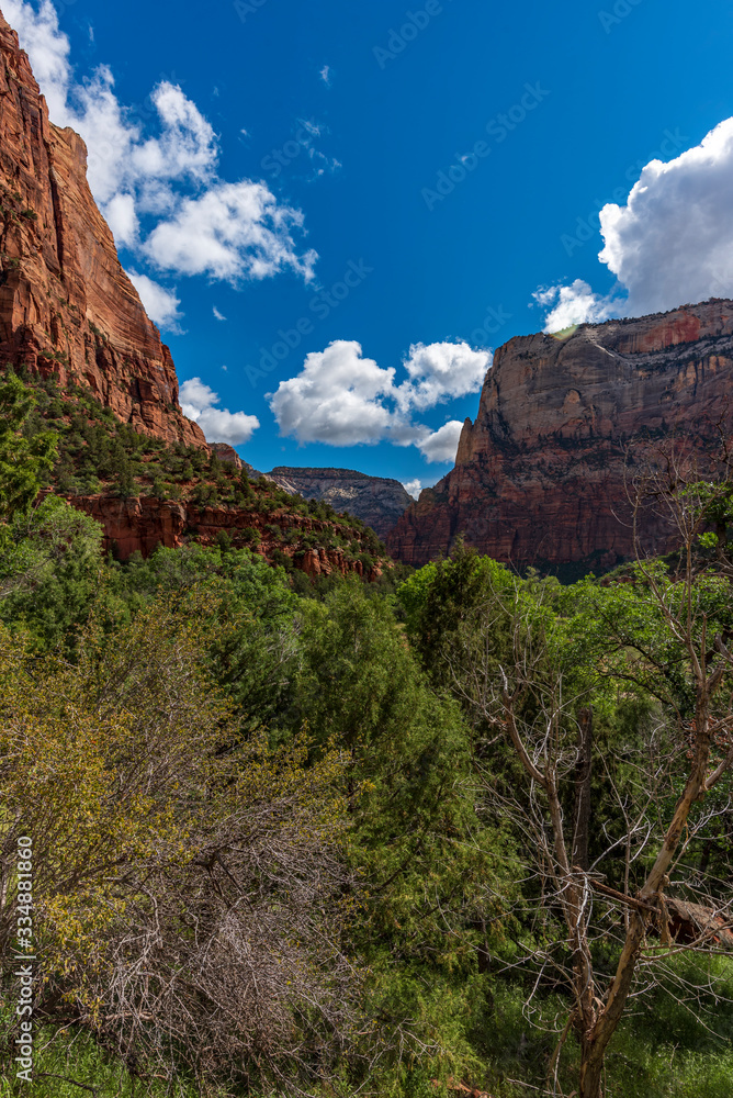 View of Zion Canyon seen from the Emerald Pools Trail, Zion National Park, Utah, USA