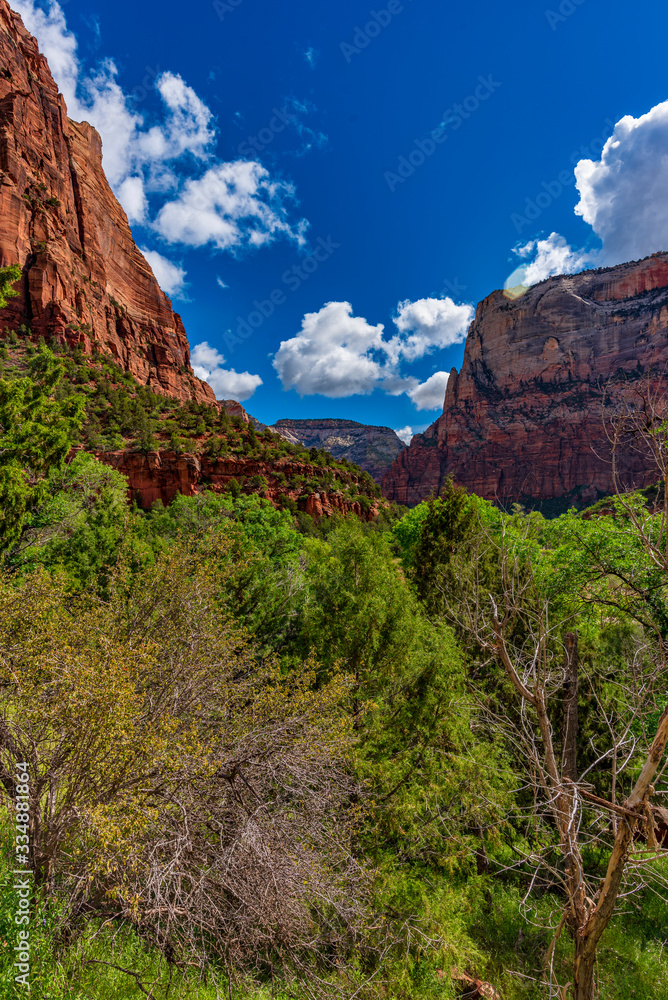 View of Zion Canyon seen from the Emerald Pools Trail, Zion National Park, Utah, USA