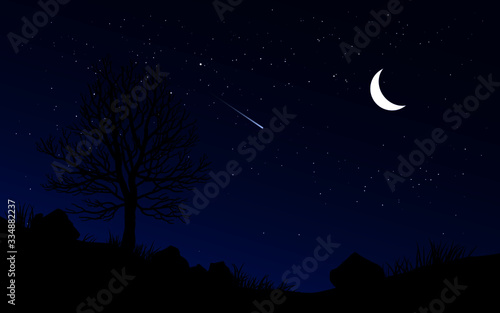 night sky with moon