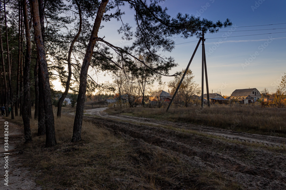village houses on the outskirts of a pine forest in the evening village houses on the outskirts of a pine forest in the evening