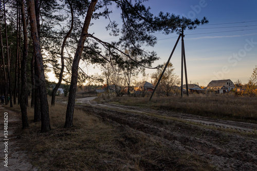 village houses on the outskirts of a pine forest in the evening
