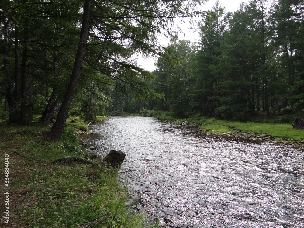 forest, river, nature, water, stream, tree, landscape, trees, green, creek, path, mountain, road, spring, woods, park, natural, grass, waterfall, autumn, scenic, trail, stone, wood, outdoor forest, river, nature, water, stream, tree, landscape, trees, green, creek, path, mountain, road, spring, woods, park, natural, grass, waterfall, autumn, scenic, trail, stone, wood, outdoor