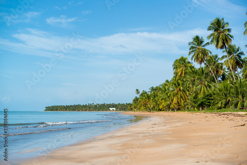 Coconut trees on the peaceful and beautiful beach of Japaratinga, Maragogi, Alagoas, Brazil on April 6, 2019
