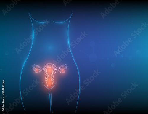 Female polygon reproductive organs artistic design