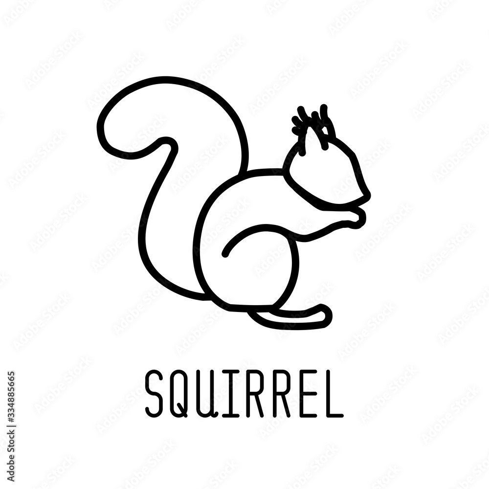 Squirrel line icon. Vector illustration. Squirrel line icon. Vector illustration.