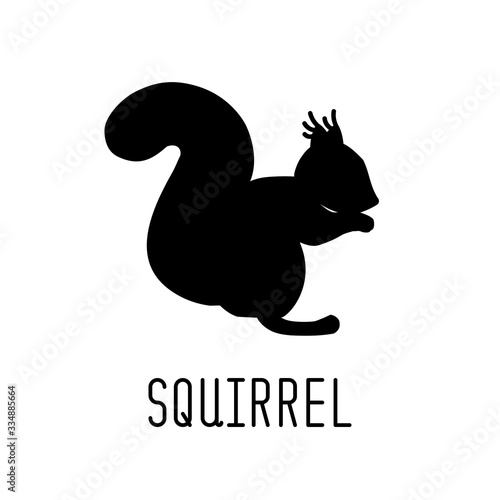 Squirrel Silhouette. Vector...