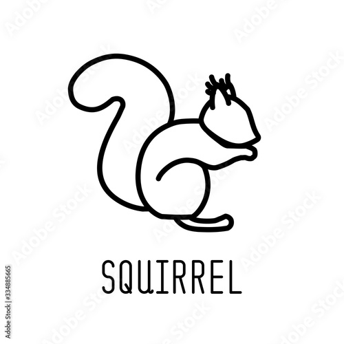 Squirrel line icon. Vector ...