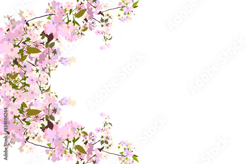 桜の飾り枠