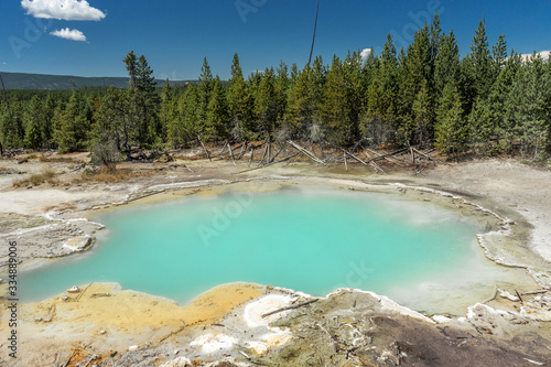 Norris Porcelain Basin in Yellowstone National park