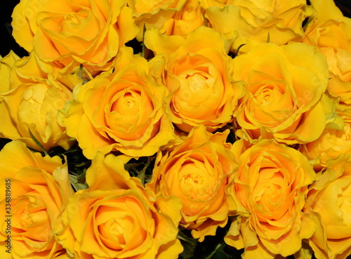 Big bouquet of yellow roses