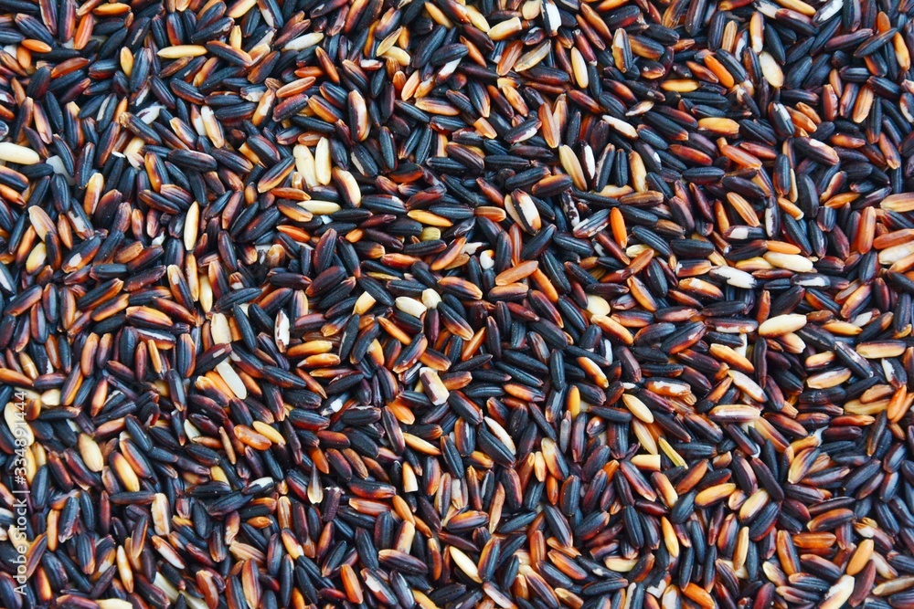 Black glutinous rice quality organic rice from Thailand Black glutinous rice quality organic rice from Thailand