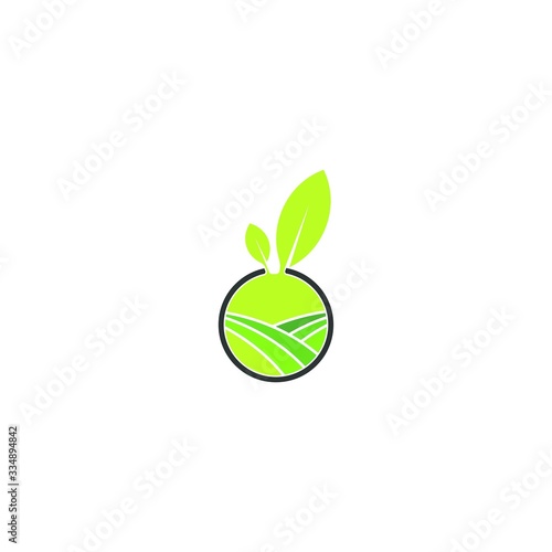 Agriculture Logo. leaf logo design  eco-friendly concept