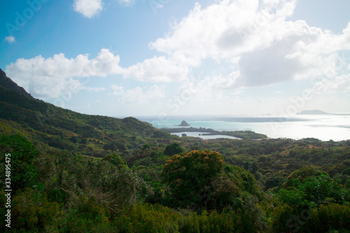 Wallpaper Mural 南国のイメージ Torontodigital.ca