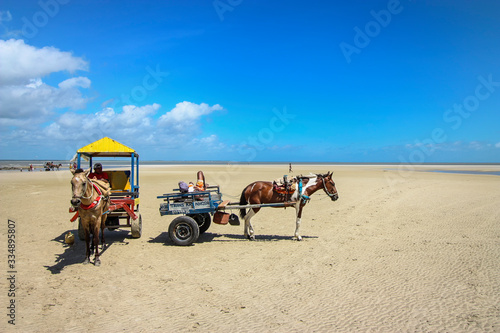 Charrete em praia de Algodoal, no Pará. Transporte por cavalos na areia, com céu limpo azul. photo