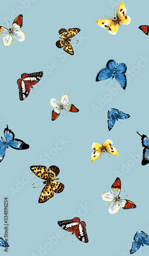 a variety of feminine blue butterfly patterns