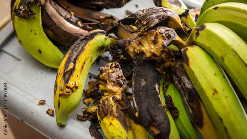 Fotografija Close up view of rotten spoiled ugly banana fruits eaten and bitten by wild animal