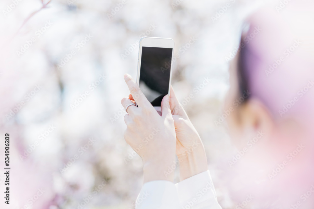 スマートフォンで桜を撮る女性