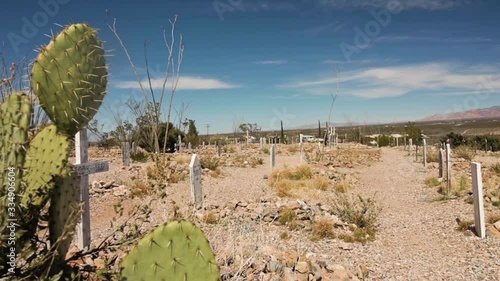 Green Cactus Plants On The Foreground At Boothill Cemetery In Tombstone, Arizona Under The Bright Blue Sky - Closeup Shot photo