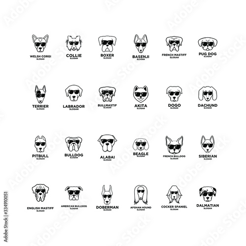 big collection set dog breed head logo icon design