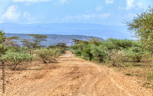 Panorama of Awash national park landscape with acacia tree around road and mountain in background. Ethiopia wildeness