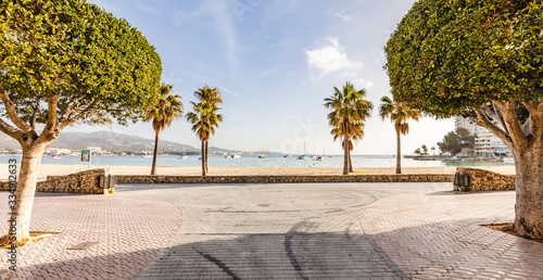 Fototapeta Naklejka Na Ścianę i Meble -  Palmanova sand beach in Mallorca, Spain with pine trees and palm trees on a sunny day