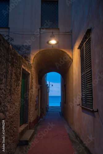 Varigotti narrow street in the night, Italy © Dmytro Surkov