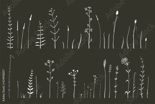 Hand drawn doodle medical herbarium wild grass and flowers collection, illustrator monochrome art brushes set white herbs isolated on black.
