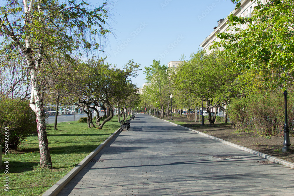 Urban view of a wide sidewalk among trees and a lawn in sunny weather with a clear blue sky