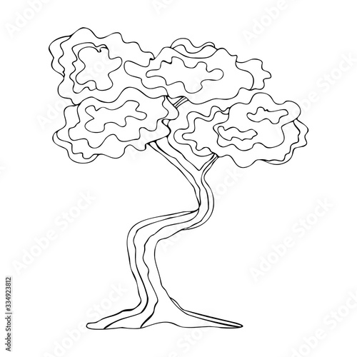 Japanese bonsai tree. Isolated black outline on a white background.
