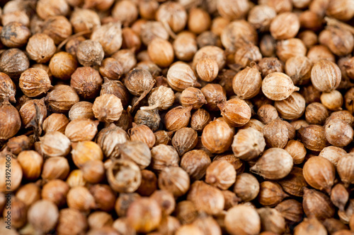 Coriander grains shot large on a wooden background. Background for spices and cuisine.