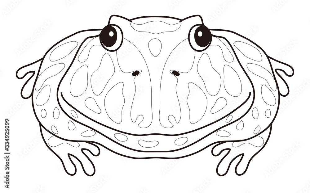 ベルツノガエル キャラクター イラスト ぬりえ Stock Illustration Adobe Stock
