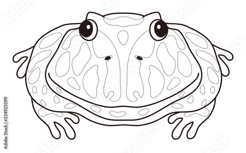 ベルツノガエル キャラクター イラスト ぬりえ Stock Illustration Adobe Stock ベルツノガエル キャラクター イラスト ぬりえ Stock Illustration Adobe Stock