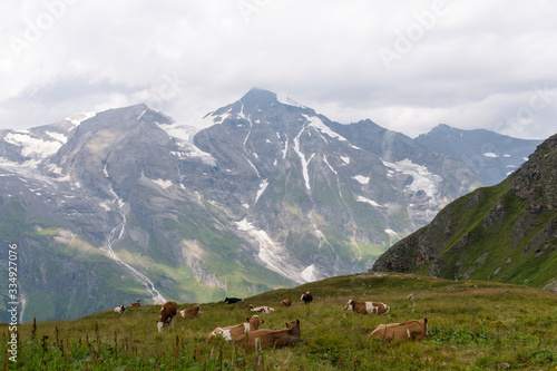 View of Grossglockner Mountain from the Grossglockner High Mountain Road. Breathtaking views of the Austrian Alps  Zell am See district  state of Salzburg in Austria.  Europe 