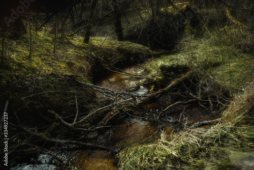 stream in the forest © Konstantin